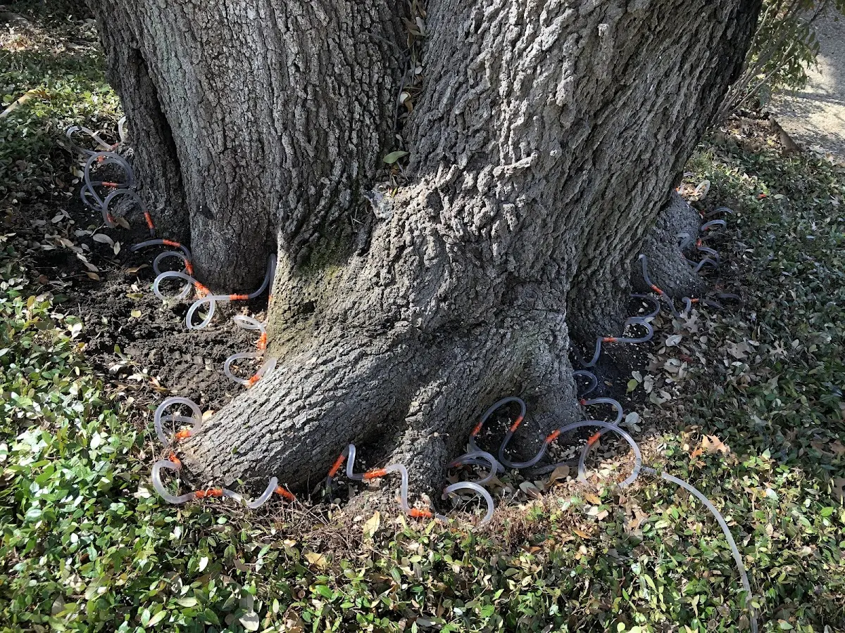Detailed Shrub and Hedge Trimming job site in Spring