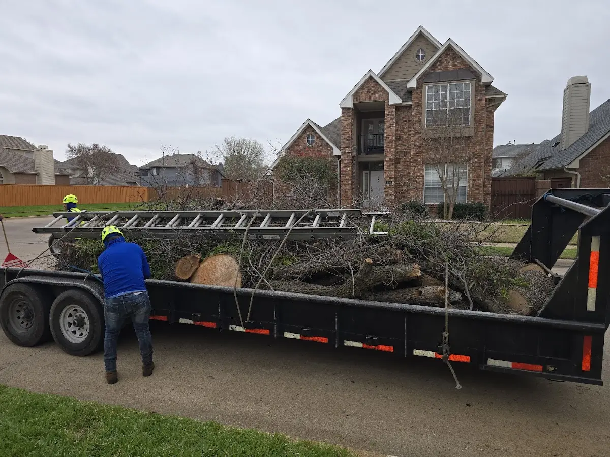 Expert Lot Clearing with proper safety equipment in Spring